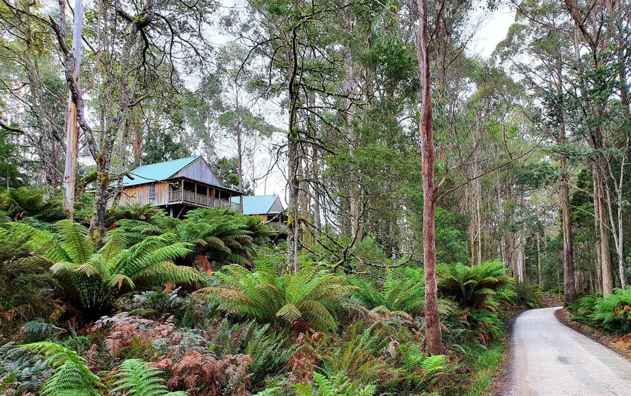 Lemonthyme Wilderness Retreat Hotel Moina Luaran gambar