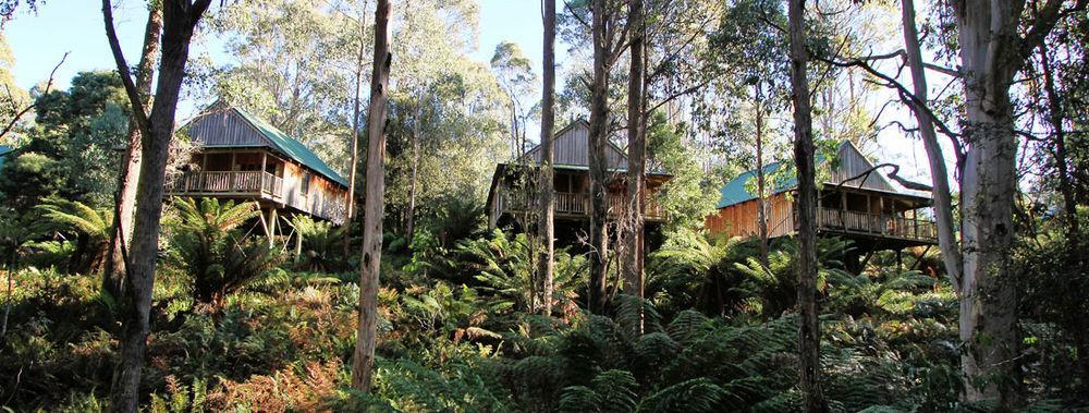Lemonthyme Wilderness Retreat Hotel Moina Luaran gambar